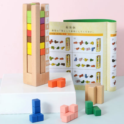 Wooden Magnetic & Blocks Puzzle